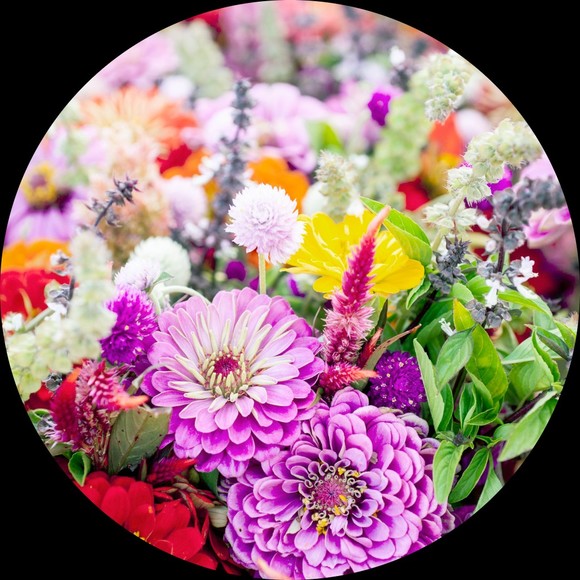 gardenvarietyxo